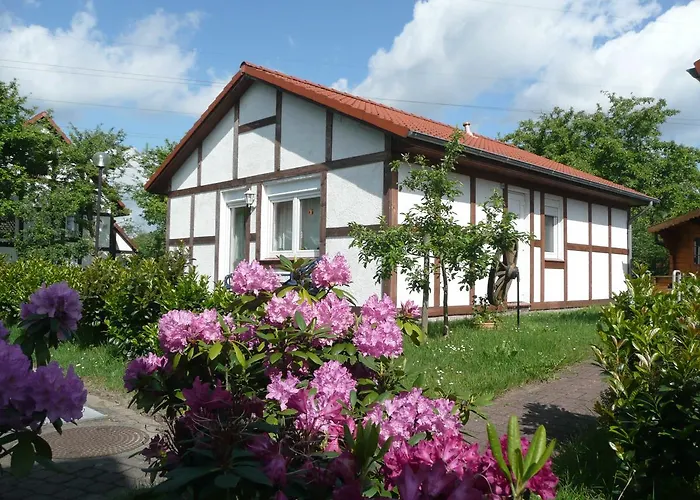 Prázdninový dům Scout 48 Im *